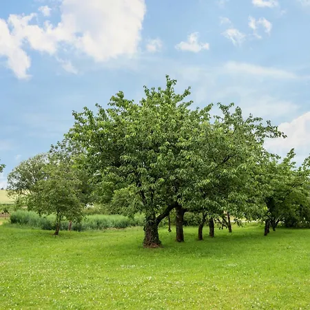 Ellenweiler Bis 10 P * Friedrichshafen