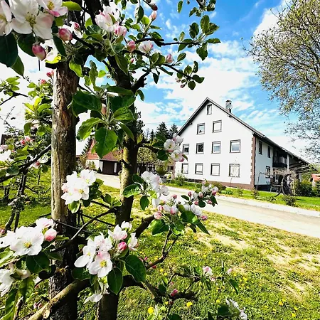 Ellenweiler Bis 10 P Apartamento