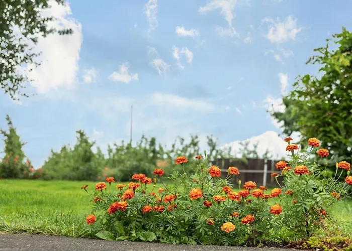 Ellenweiler Bis 10 P Appartement *