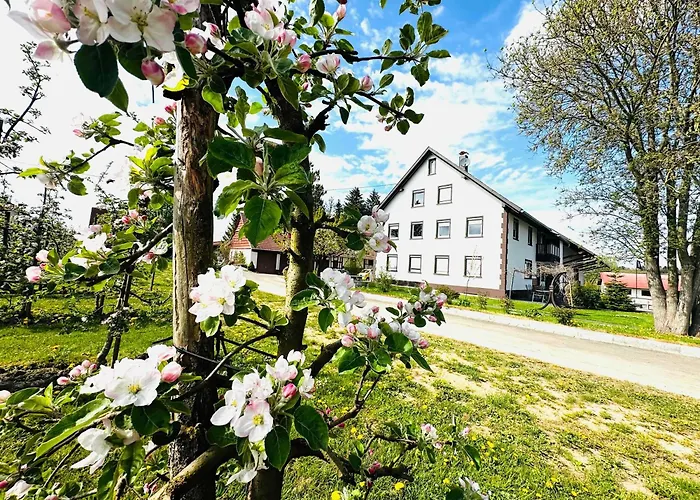 Appartement Ellenweiler Bis 10 P