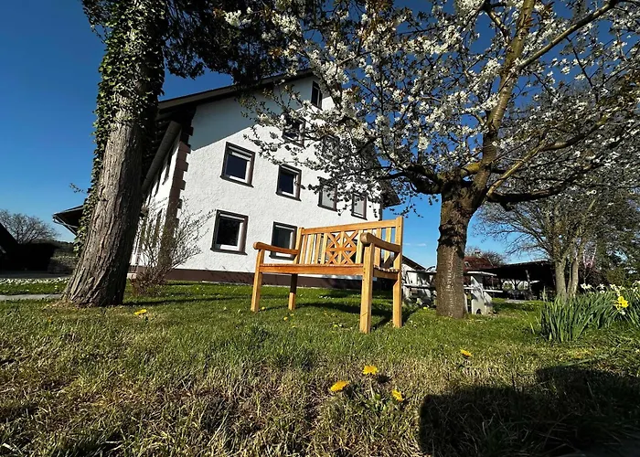 Appartement Ellenweiler Bis 10 P